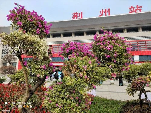 上海到荆州物流公司、上海到荆州物流专线